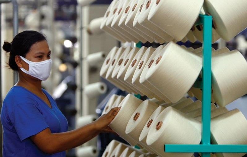 Fibre exports hit a record high of US$5.5 billion